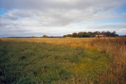 Bild-ID: 55-0003, Plats: Norrhällbyvägen vid Vaksala kyrka, Datum: 2002-09-21